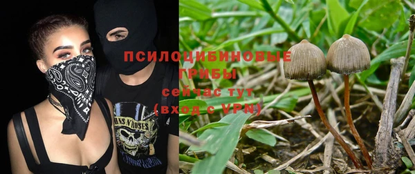 мяу мяу кристалл Богданович